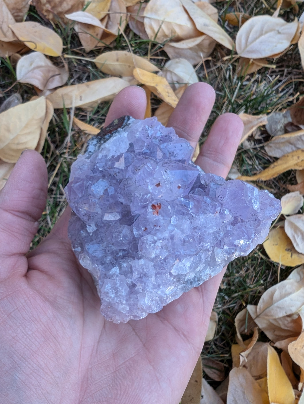 Amethyst cluster #2