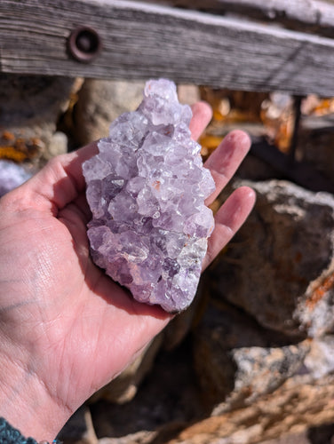 Amethyst cluster #5