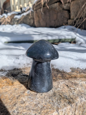 Dark Blue Gemstone Mushroom