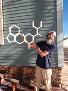 LSD Molecule Shelf