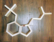 psilocybin molecule shelf